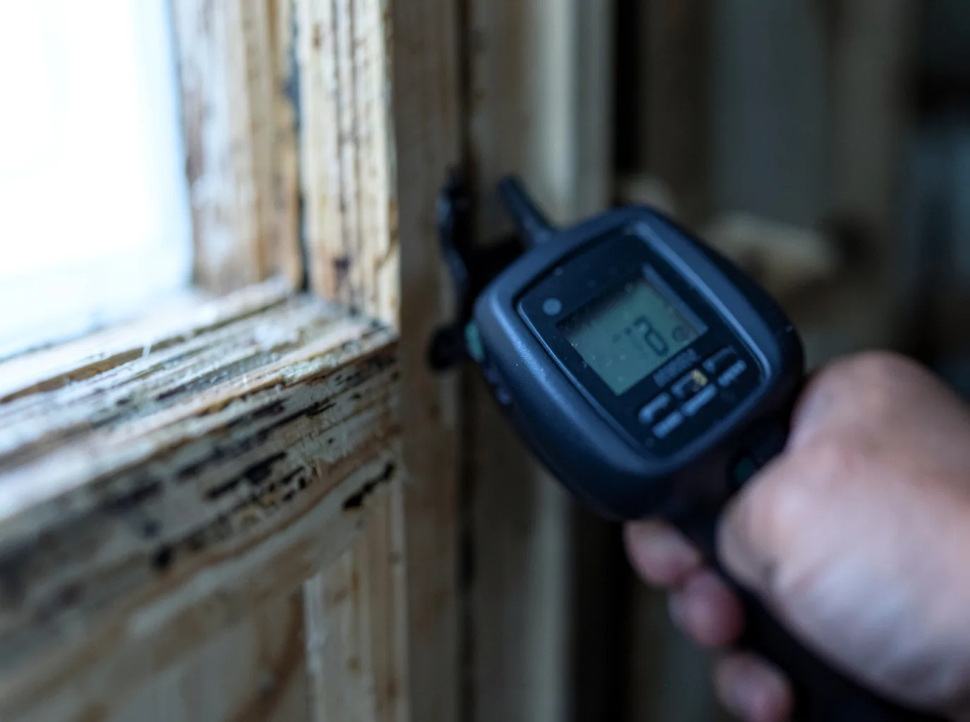 Moisture Inspection And Documentation in Caruthersville, MO